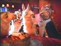 La llama que llama 6 - El hipopotamo que hipotalamo