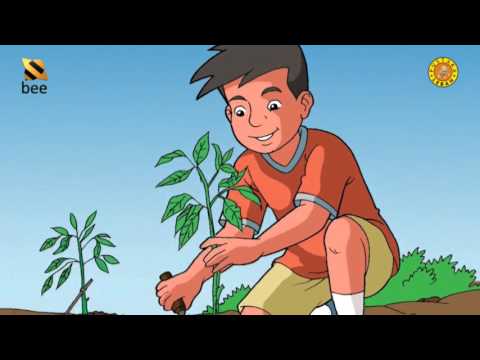 Ptk Pai Sd Terbaru Indonesia