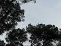 videos de Storni a Villa Borghese