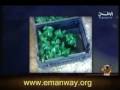 شاهد كيف يصبغون الكتاكيت (الصيصان) - مقطع مؤثر