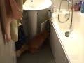 Дверца должна быть открытой