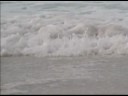 Destin, Florida - Flight of the Birds