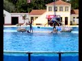 Saltos Ornamentais