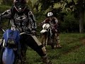 Trilha Palmeira 03
