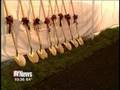 videos de RIT on TV News: Vignelli Design Center