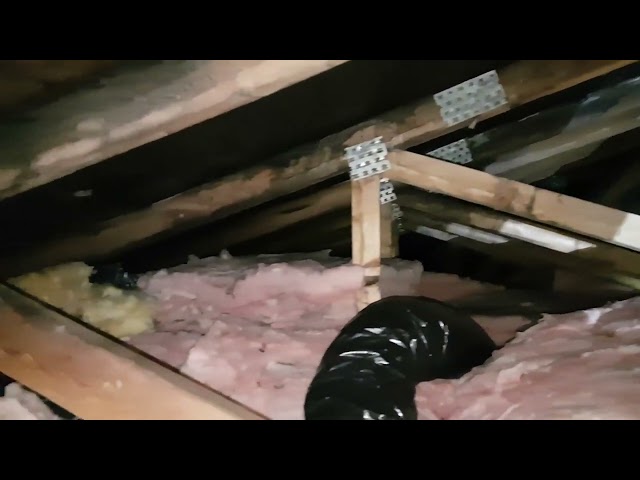 ATTIC MOLD REMOVAL , CERTIFIED  FROM $500, (647-451-0493) in Renovations, General Contracting & Handyman in Hamilton