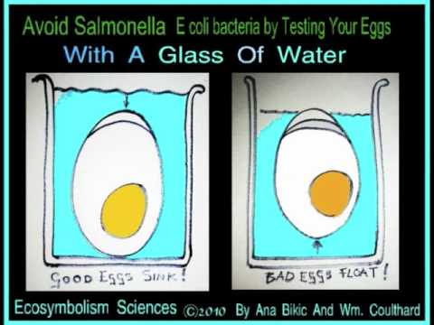 how to test if eggs are ok