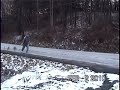 JoeRun01.mpg