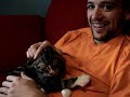 Kitten Ears Kitten Ears