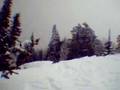 Ski Backflip