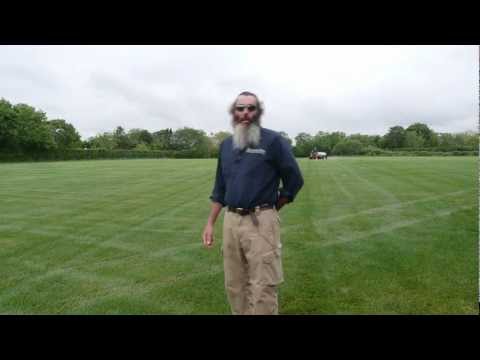 how to fertilize cryptomeria