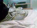 Ballbusting with adidas f30