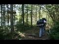Quest to Algonquin Provincial Park
