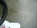 Verregnetes Kirschbl�tenfest und verregnetes Bryan