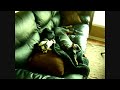 How Famous Dogs Live How Famous Dogs Live
