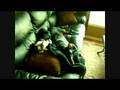 How Famous Dogs Live