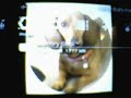 my first psp vid my first psp vid