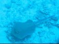Tauchen bei Hurghada