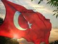 videos de tüm turklere gelsin