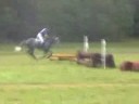 Emil Gel�nde Cameri 2007