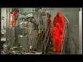 Pips, Chips & Videoclips - Teroristi placu