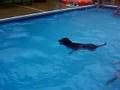 Y102 Pool Patrol - Holly Saint of Wetumpka