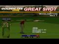 Golden Tee Great Shot on Woodland Farm!