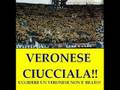 videos de YouTube - Vivere Ultras orgoglio partenopeo.avi