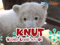 www.kittyundknut.de www.kittyundknut.de