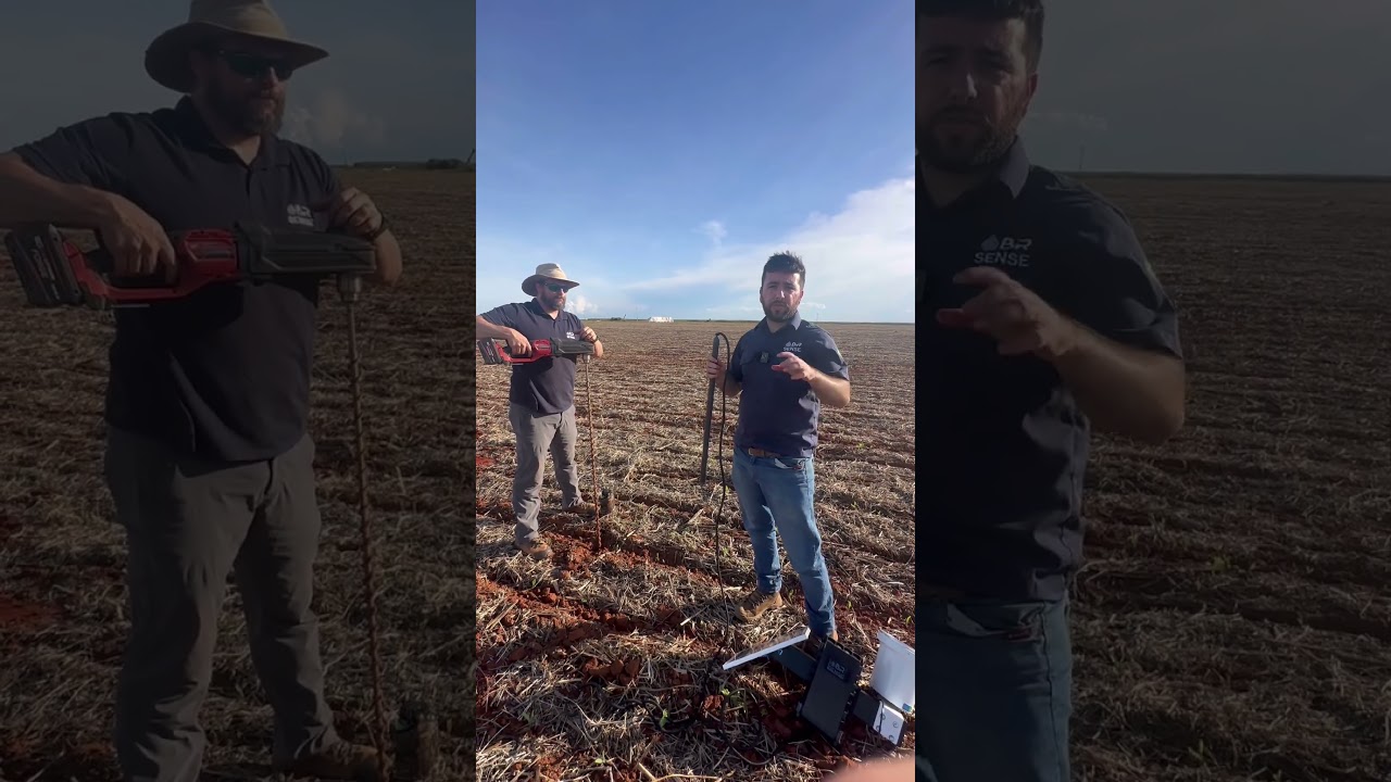 O que é uma sonda FDR?