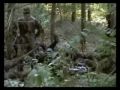 Rohamlövész Elit Spot
