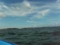 videos de En el Botee..