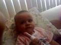 su salchichota