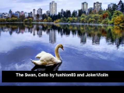 The Swan, Cello