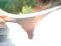 Por la carretera! Por la carretera!
