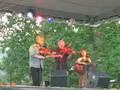 Clifftop 2008 - Big Hoedown