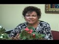 JARDINERIA_las Begonias