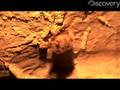 3-Questions-Life-in-