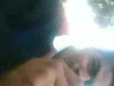 el trenzas