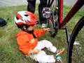 How bicicles work