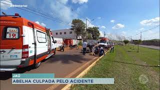 Abelha entra em capacete de motociclista e causa acidente em Jaú