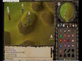 Runescape pking XmisspiggyX 31 KO f2p - see also Purple 0wnz