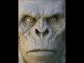 A Bigfoot Shooting: Pt.1
