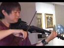 Canon in D, Dave Kim, 5 string electric violin