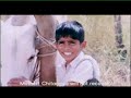 Tingya Marathi Movie Part  8