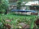 how to do a frontflip/forwardflip how to do a frontflip/forwardflip