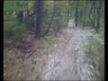 descente du ventoux en vtt-Combe d'ansis