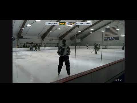 Playoff Power Play Goal