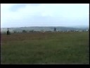 Mountain Ridge GNCC Mountain Ridge GNCC
