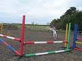 a fab vidio of nikki on her grey 13.2 pony jumping round a 2ft 9-3ft 3 course!! well done nikki